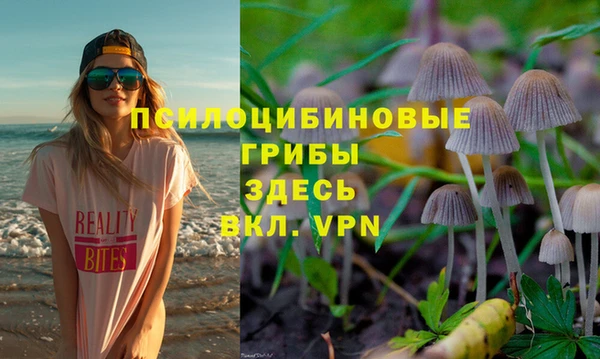 a pvp Вяземский