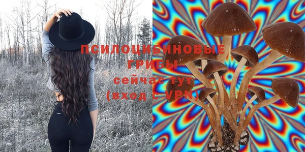 spice Володарск