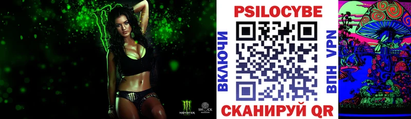 где найти Дзержинский Галлюциногенные грибы Psilocybine cubensis