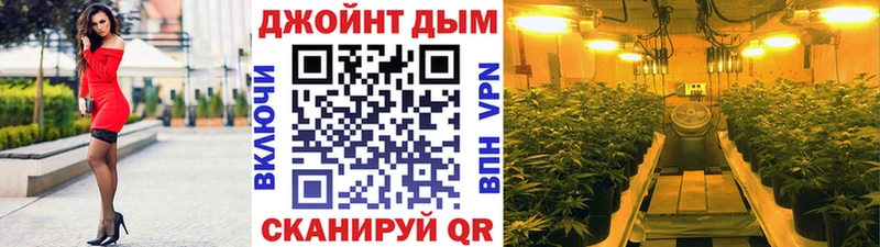 Каннабис ГИДРОПОН  Дзержинский 